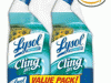 Lysol Toilet Bowl Cleaner