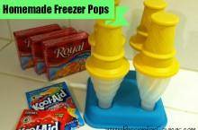 Homemade Freezer Pops