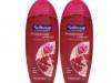 Softsoap Body Wash Coupon