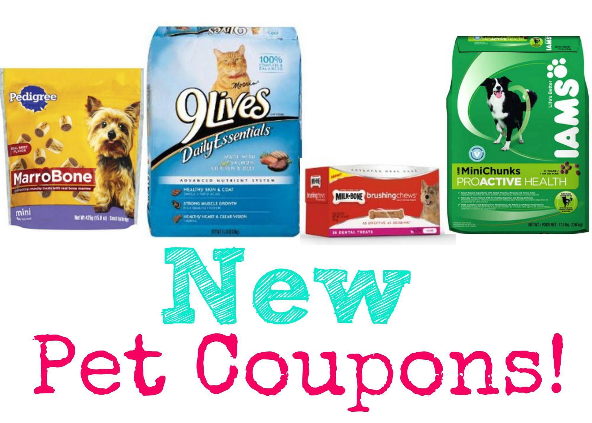 Pet circle discount coupons