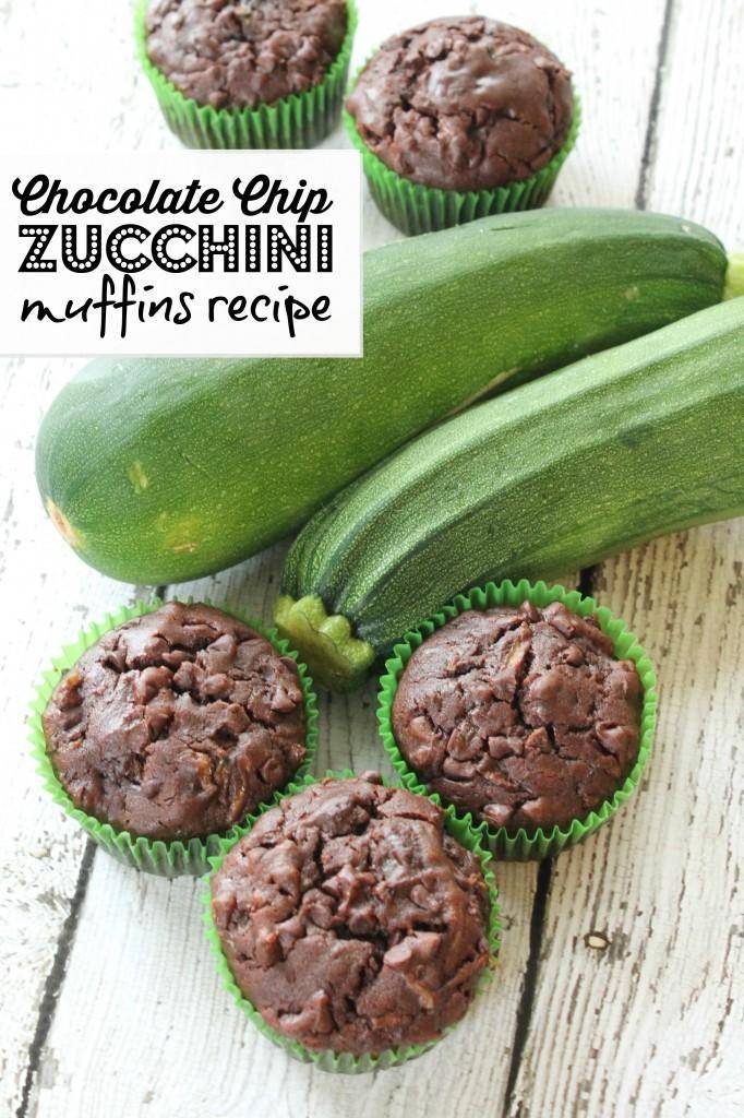 chocolate chip zucchini muffins recipe