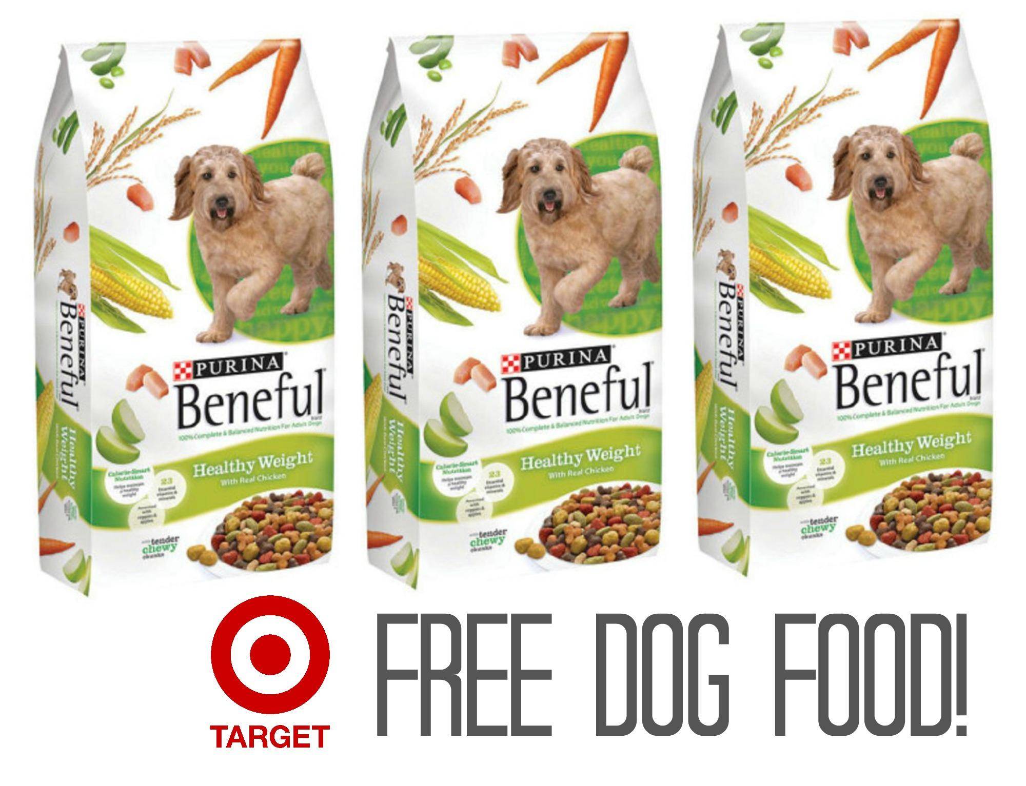 Purina Beneful Dry Dog Food FREE Target! Passion for Savings