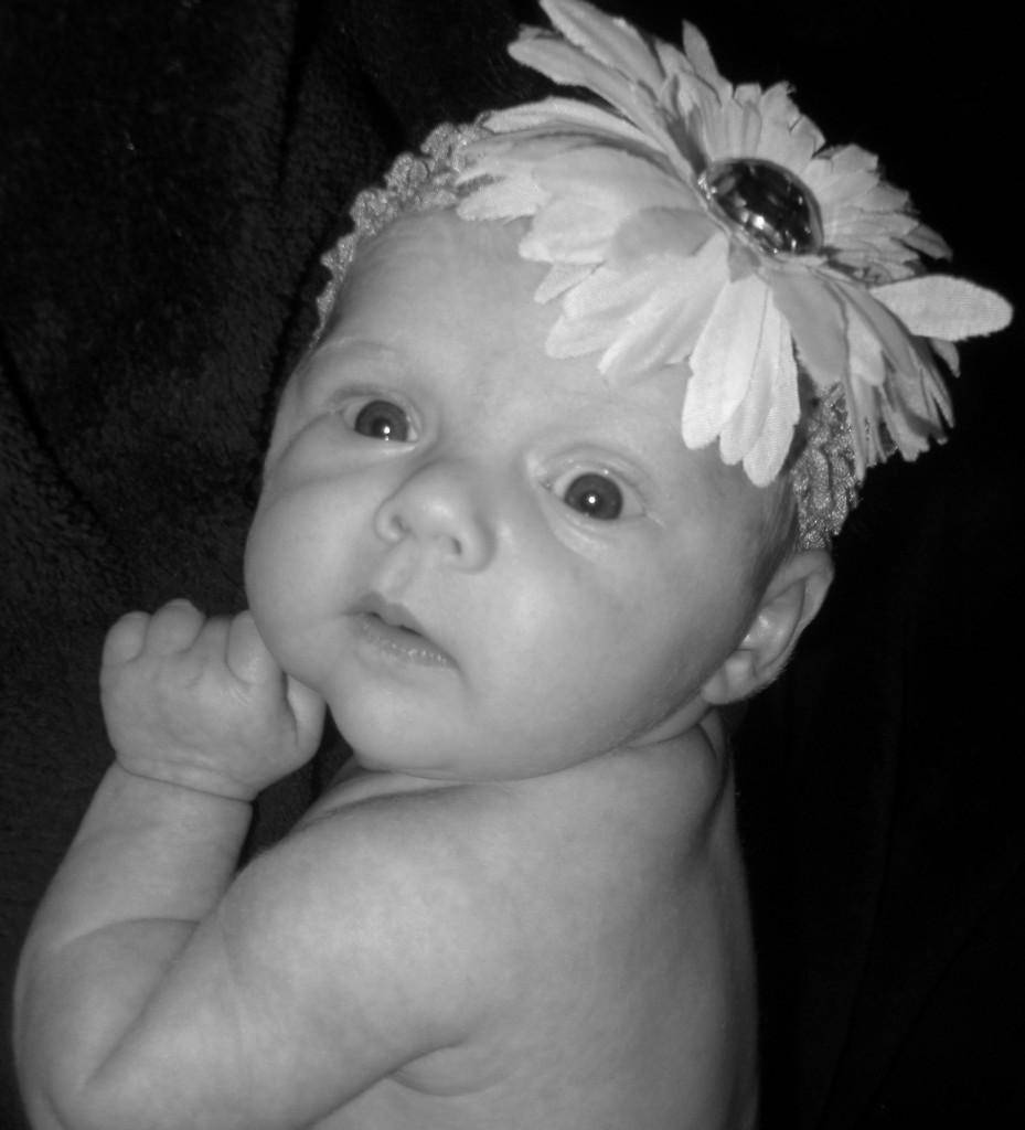 Hailey