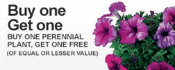 home-depot home-depot