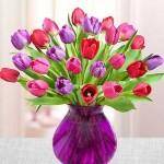 1-800-flowers coupon code