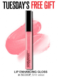 Scoop Free Smashbox Lip Gloss