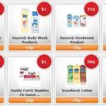 Extreme Couponing | How to Use eCoupons
