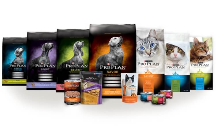 purina cat food coupons 2019