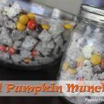 Fall Pumpkin Munch Recipe