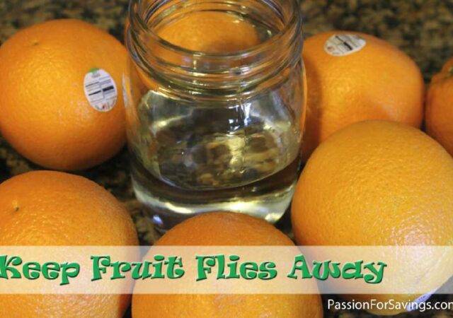 how to keep fruit flies away