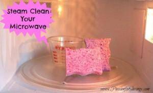 Steam Clean Your Microwave