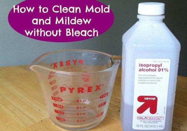 How to Clean Mold and Mildew without Bleach