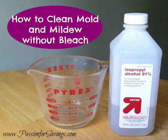 How to Clean Mold and Mildew without Bleach