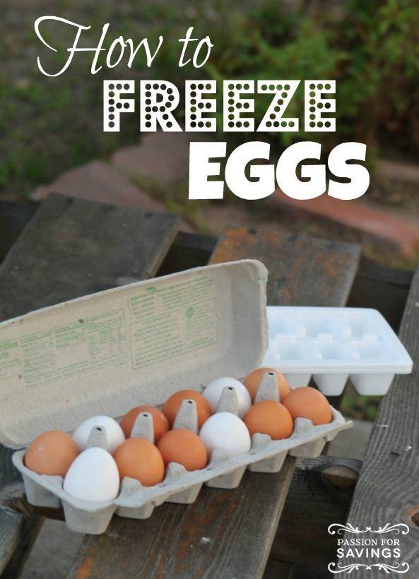 How to Freeze Eggs