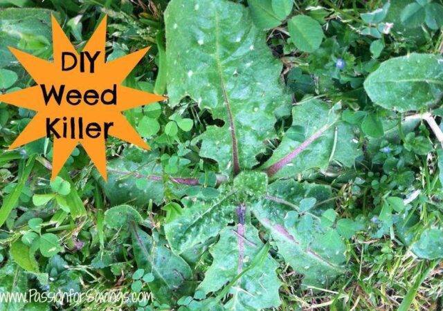 DIY Weed Killer