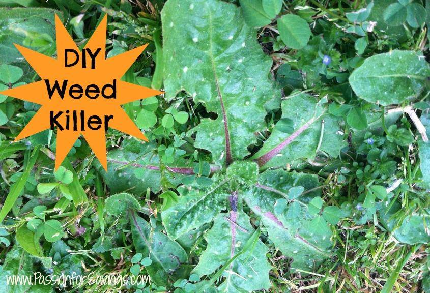 DIY Weed Killer