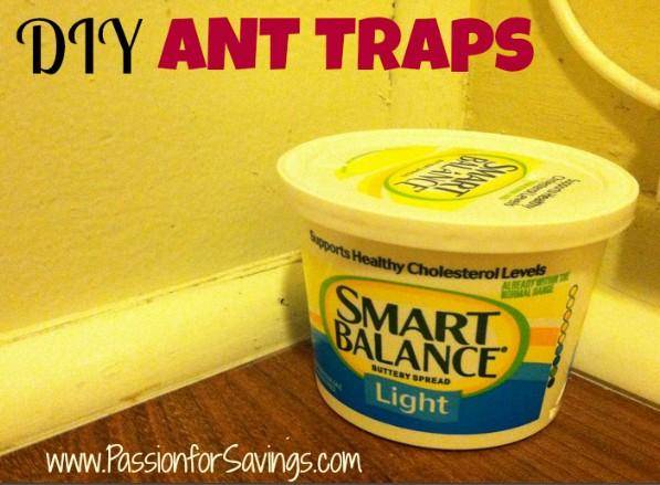 DIY Ant Traps