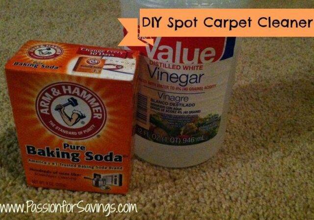 DIY Spot Carpet Cleaner