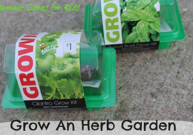 Summer Ideas for Kids