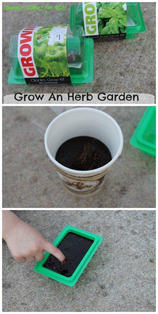 Herb Garden for Kids