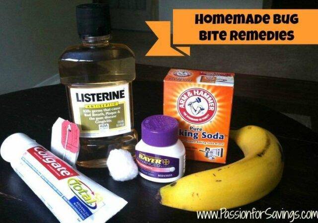 Homemade Bug Bite Remedies