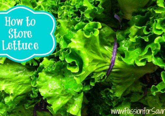 How to Store Lettuce