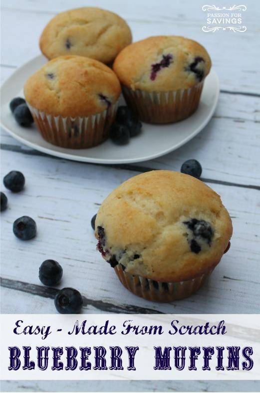 Blueberry Muffins Recipe