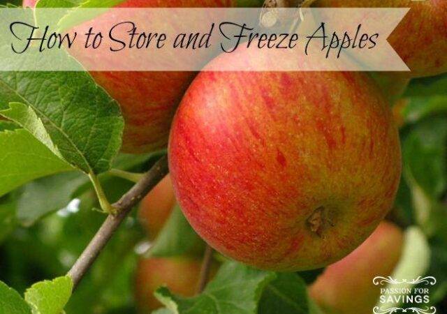 How to Store and Freeze Apples