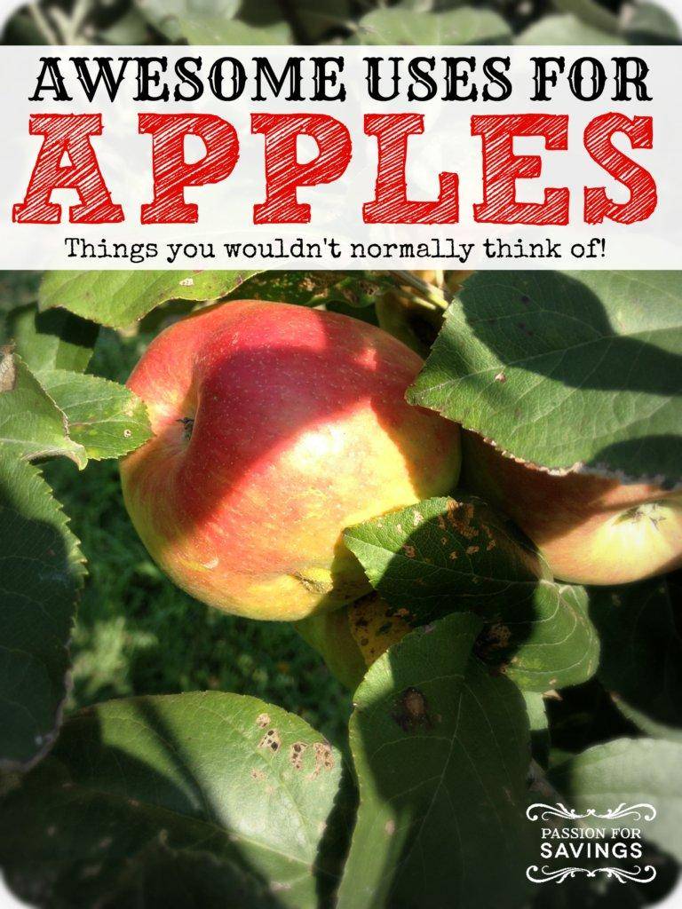 ways to use apples