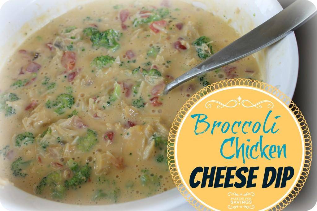 Broccoli Chicken Cheese Dip Recipe