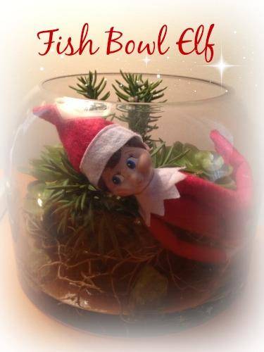 Fish Bowl Elf