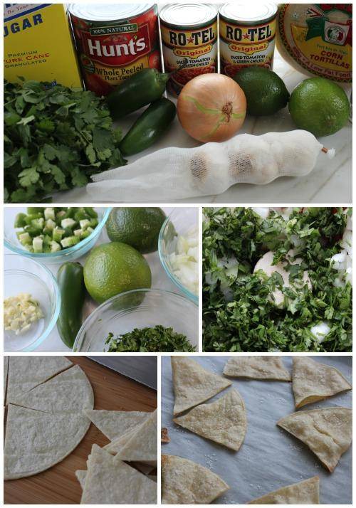 Homemade Salsa Recipe Ingredients
