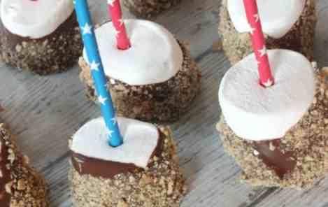 Kids Smores Recipe