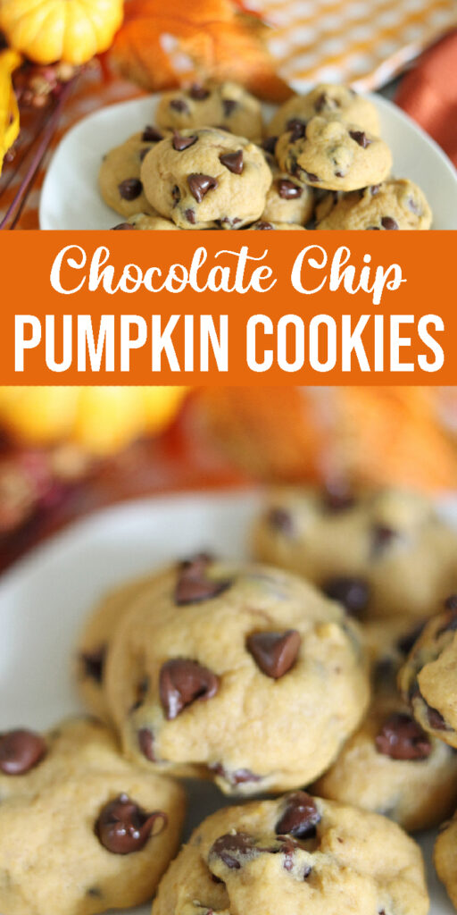 pumpkin chocolate chip cookies
