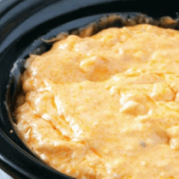 Buffalo Chicken Dip Crockpot Recipe!