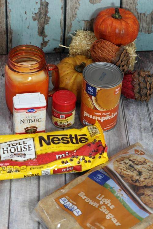 Pumpkin Hot Chocolate Recipe for Fall and Thanksgiving! Homemade Holiday Hot Cocoa Drink Recipe! 