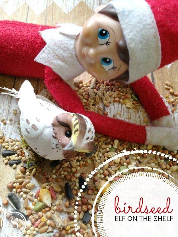 Birdseed Elf