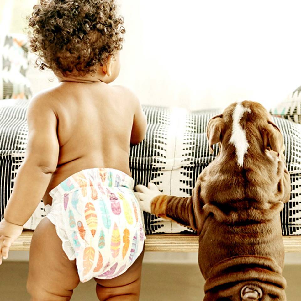 999900_1038287929548089_841002067878618870_n