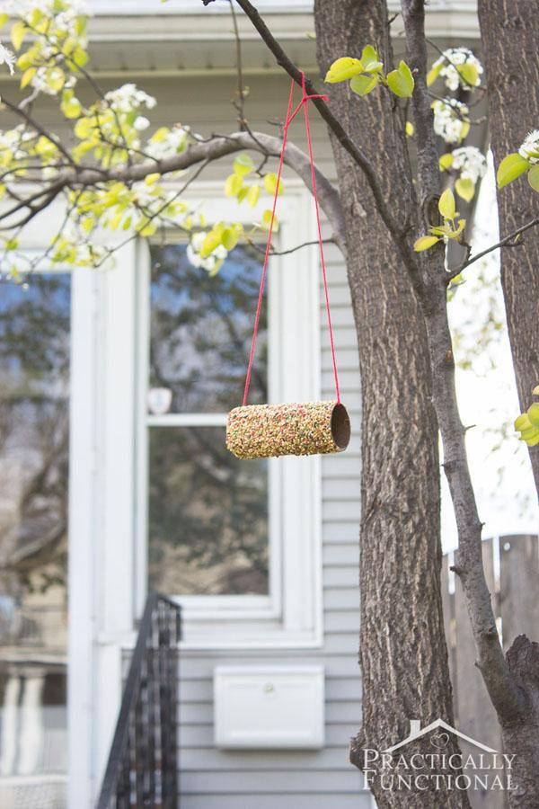 Turn-A-Toilet-Paper-Roll-Into-A-Bird-Feeder-7