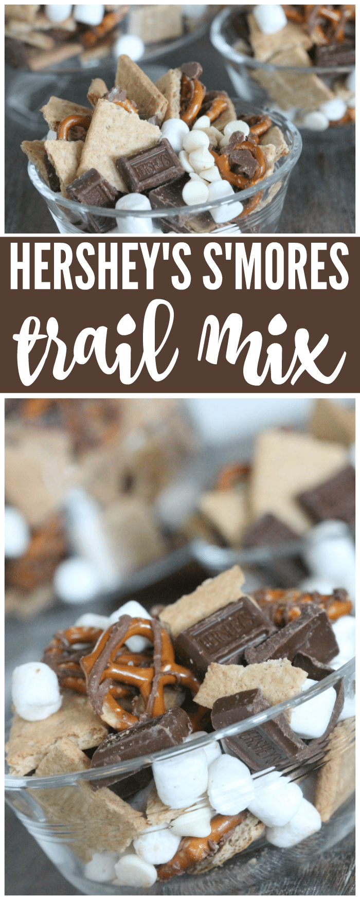 You'll LOVE this amazing Hershey's S'Mores Trail Mix Recipe and so will your whole family!