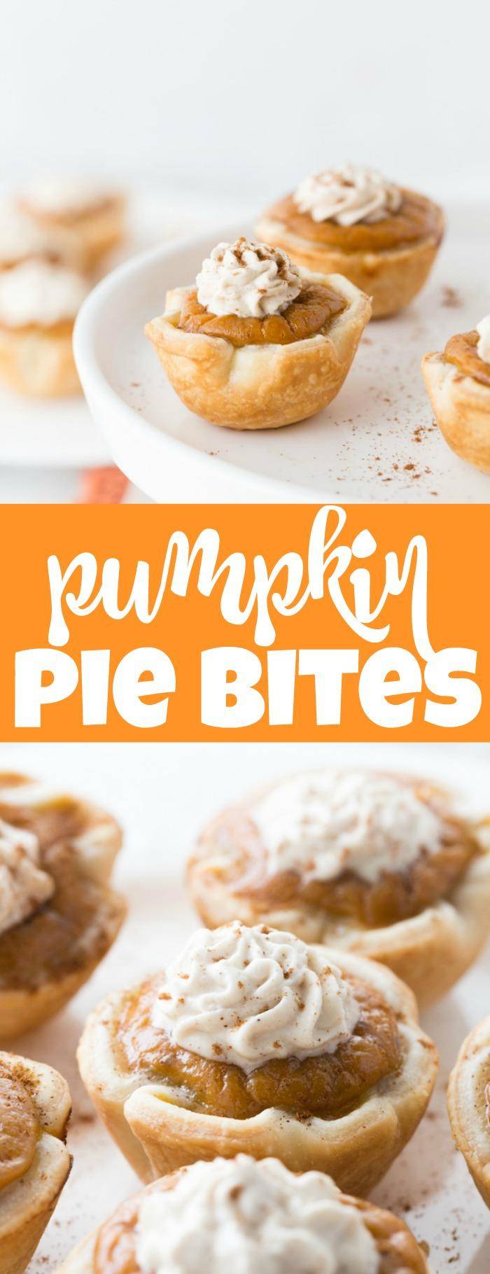 Mini Pumpkin Pie Bites are an Easy Dessert Recipe for Halloween, Thanksgiving, or Christmas! Pumpkin Treats and Snack Recipes better than traditional pie! Mini pumpkin pies are a fantastic dessert. #pie #recipe #pumpkin #fall #bites #mini #holiday #party Mini Pumpkin Pie Bites! Easy Pumpkin Dessert Recipe for the Holidays with Homemade Whipped Cream. Perfect for Thanksgiving or Christmas!
