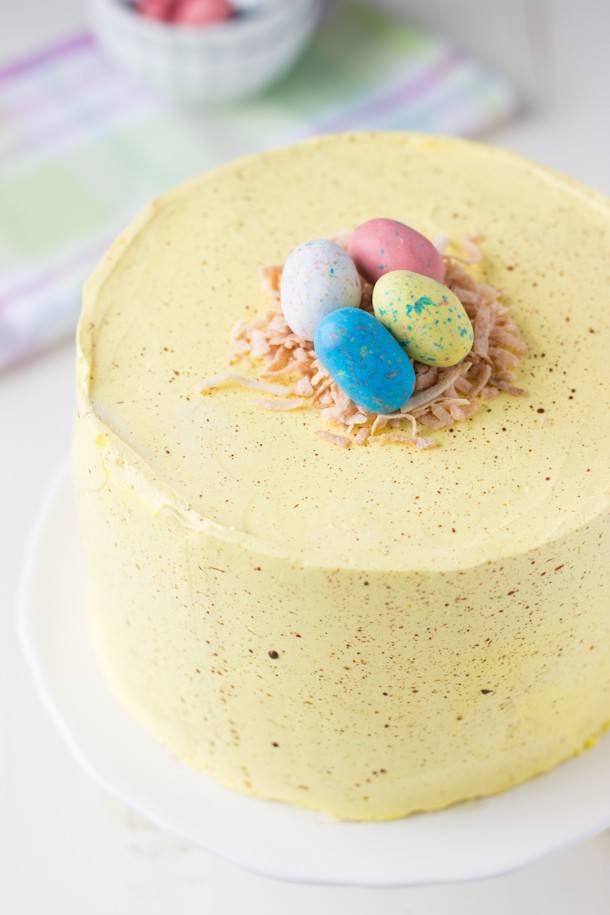 Easter Speckled Egg Cake