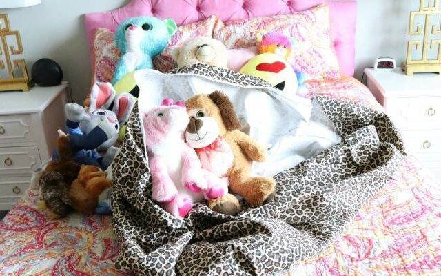 Toy Storage Bean Bag Featured