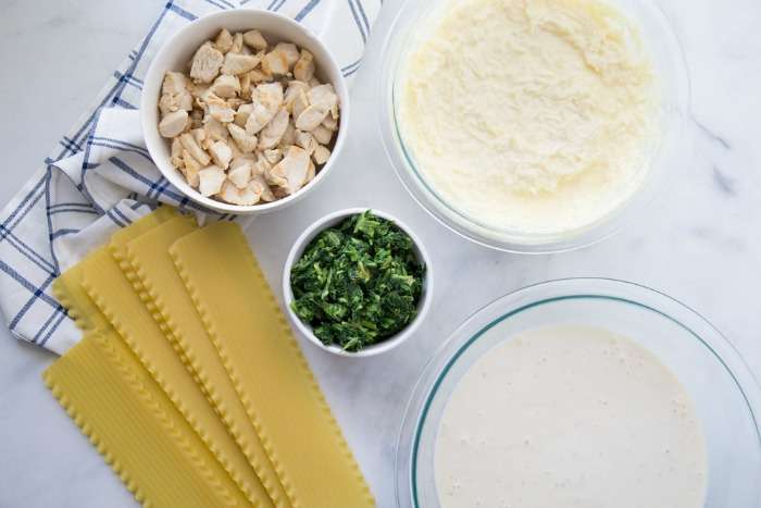 Grilled Chicken Alfredo Lasagna Recipe! An easy family, kid-friendly dinner recipe for your Meal Plan. White lasagna recipe that is easy to make. #whitelasagna #chicken #lasagna #alfredo #dinner #easy #recipe #quick #noboilnoodles Alfredo Chicken Lasagna