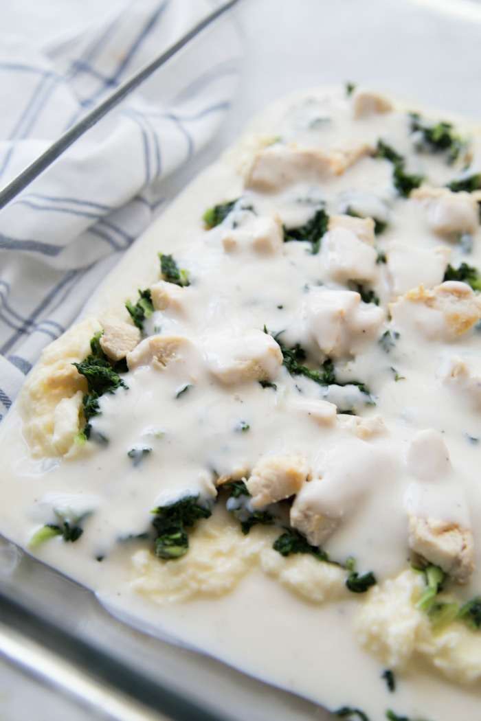 Easy Alfredo Lasagna