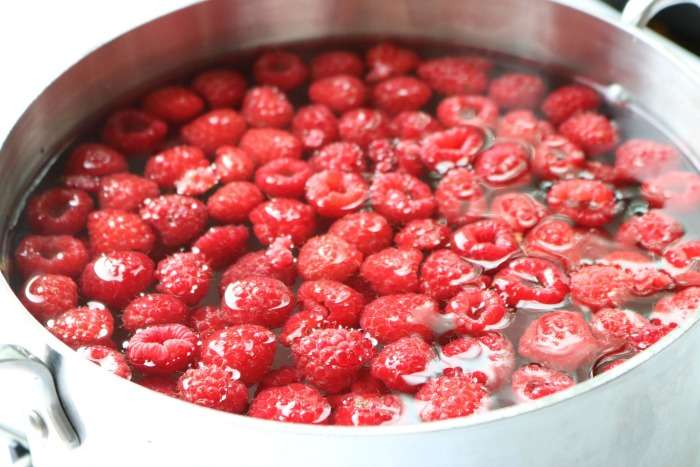 Raspberry Iced Tea Recipe! An easy summertime homemade and refreshing Iced Tea recipe for pool parties, BBQs, backyard grilling, or family get-togethers! #tea #homemade #fruit #raspberry #icedtea #drink #recipe #fresh #crowdworthy Raspberries & tea