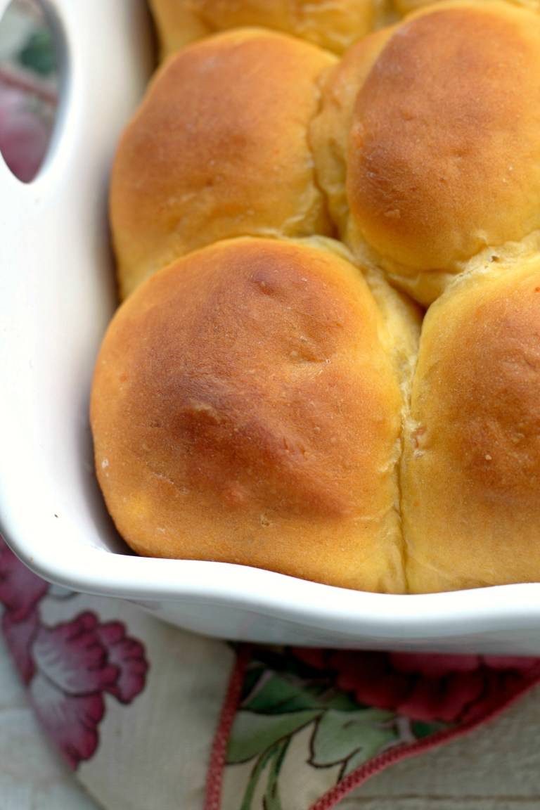 Make Ahead Thanksgiving Recipes - Sweet Potato Rolls 