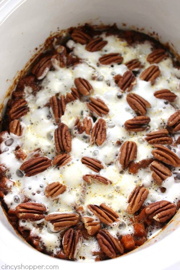 Christmas Slow Cooker Recipes 