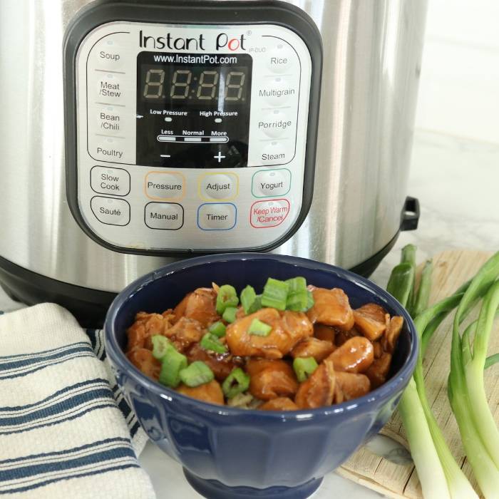 Mongolian Chicken Recipe