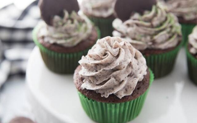 chocolate mint cupcakes recipe (1)